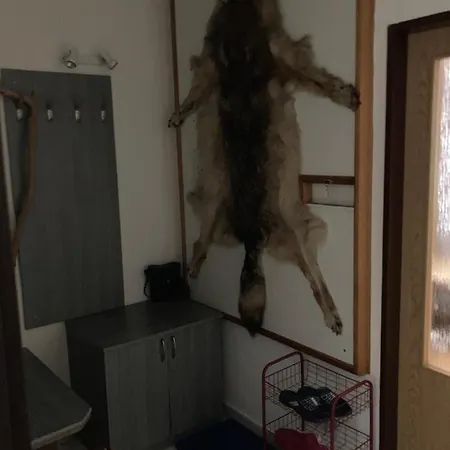 Apartment Meclov *